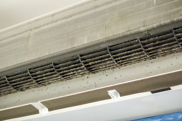 Best Best Air Duct Cleaning Company  in Lyles, TN